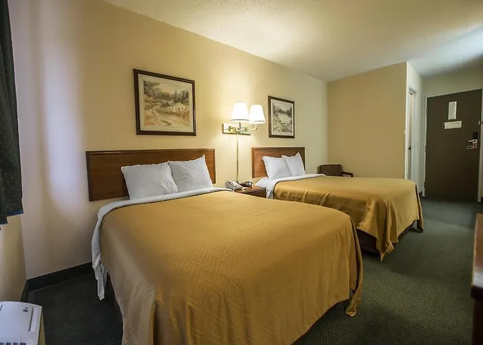 Lodge Econo
