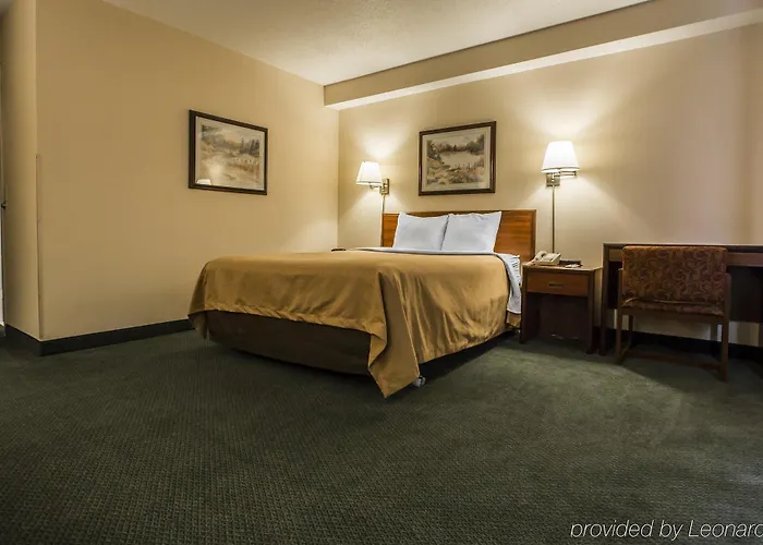 Lodge Econo